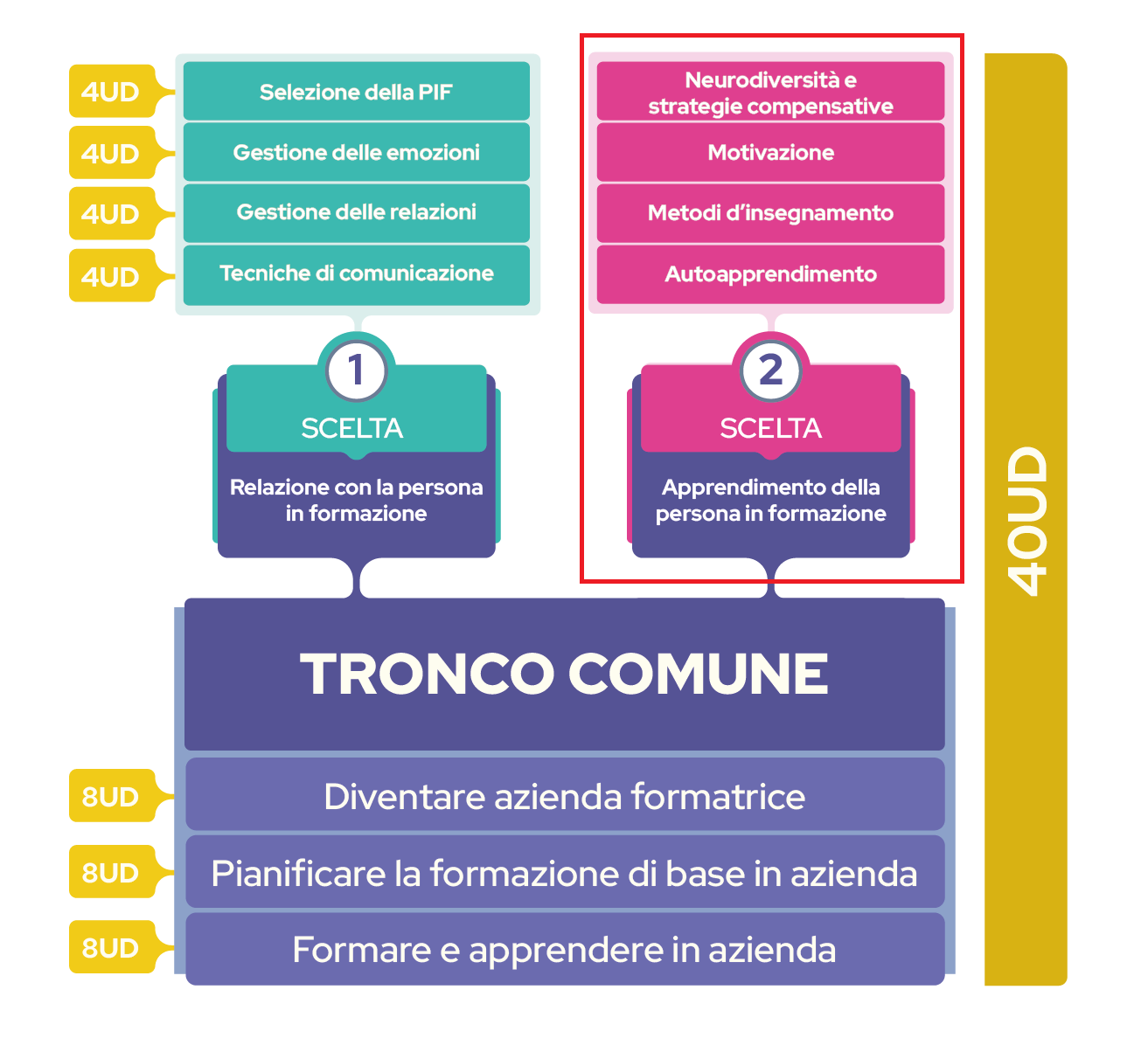 Struttura del corso